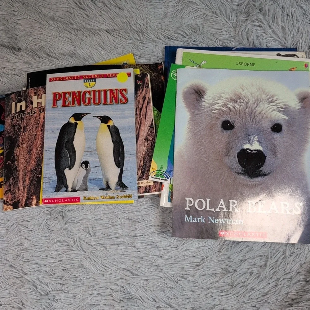 Random Lot of 20 Children Books‎ Animals Homeschool Gorilla Bears Cats